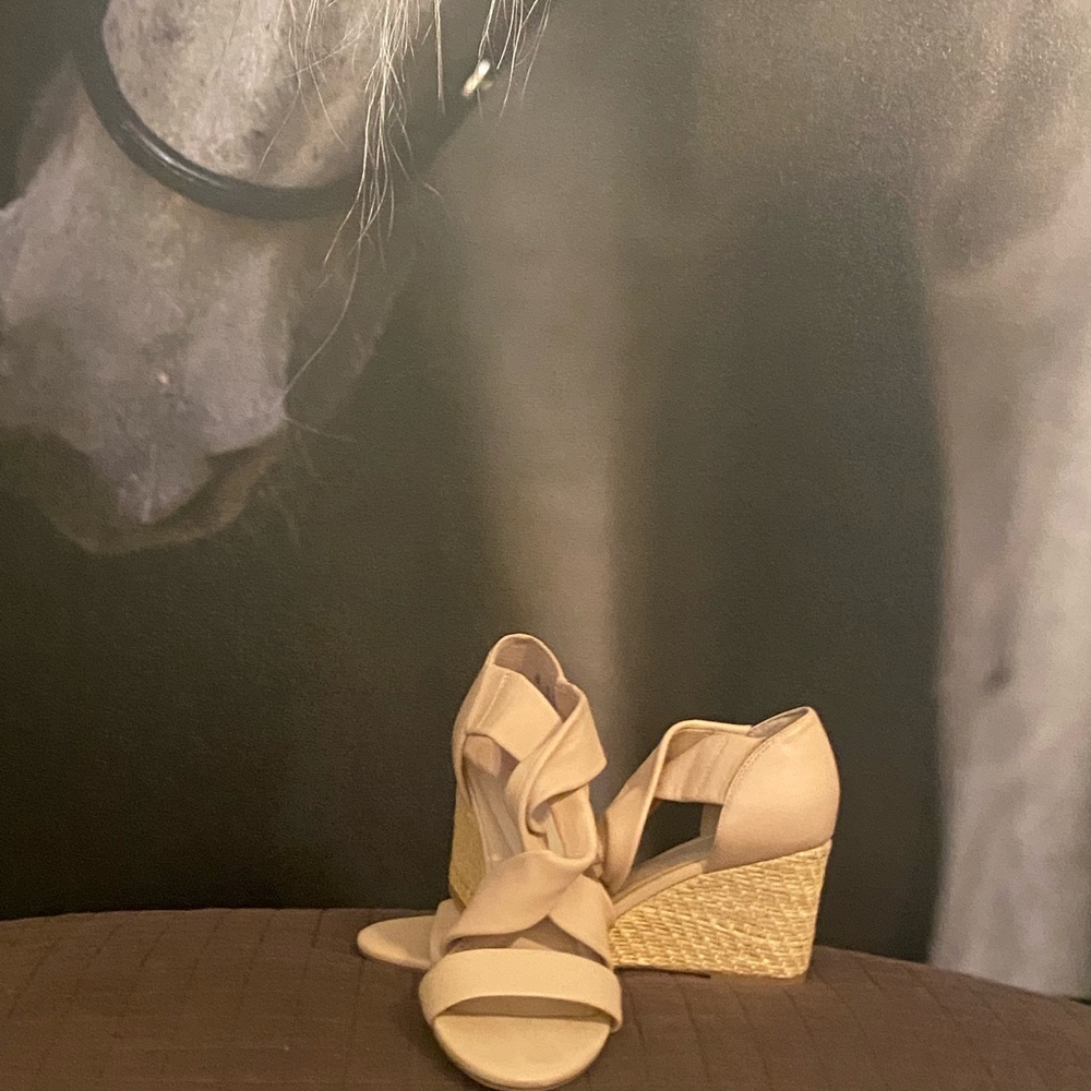 Preston and York summer wedge